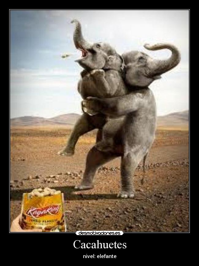 Cacahuetes - 