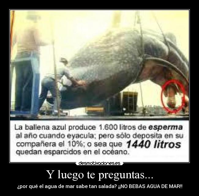 Y luego te preguntas... -