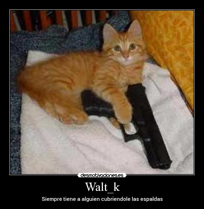 Walt_k -