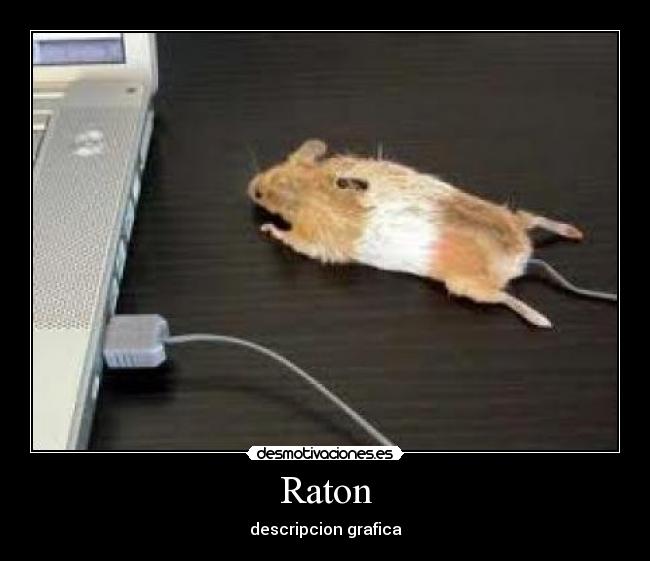 Raton - descripcion grafica