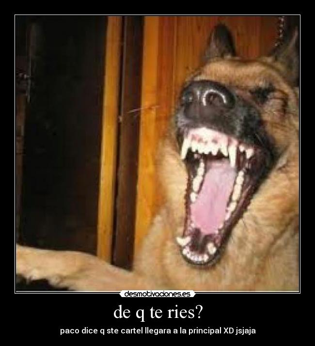 de q te ries? - 
