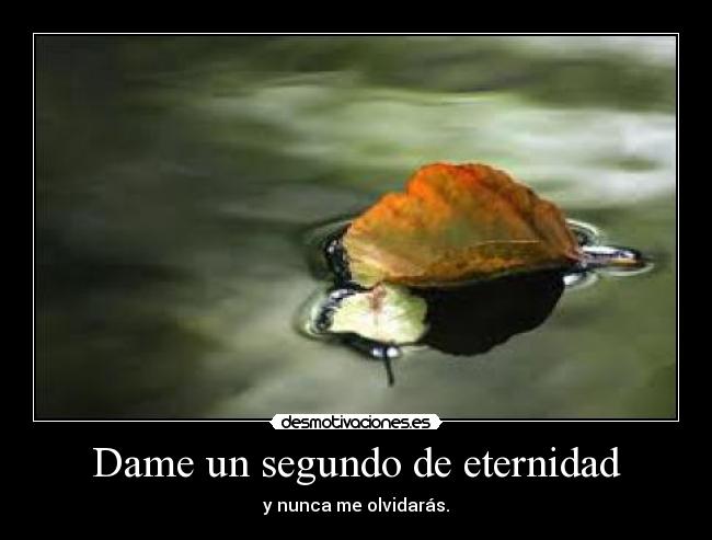 Dame un segundo de eternidad -
