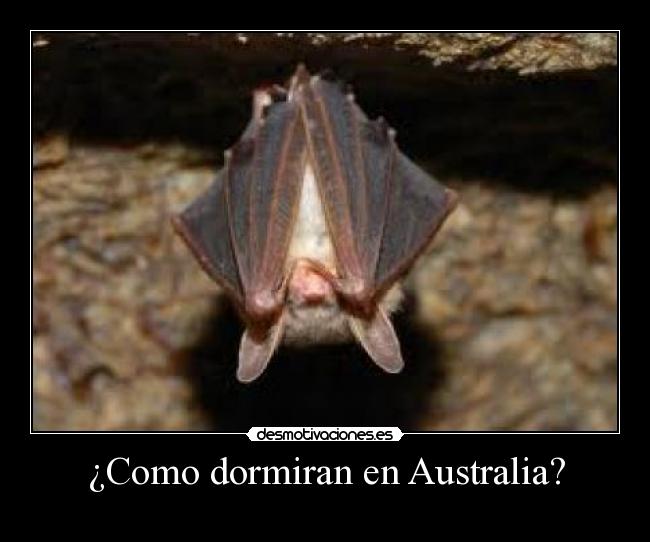 ¿Como dormiran en Australia? - 