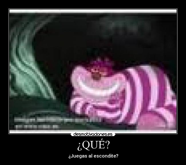¿QUÉ? - ¿Juegas al escondite?