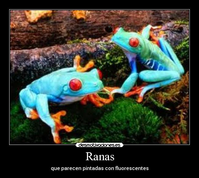 Ranas -