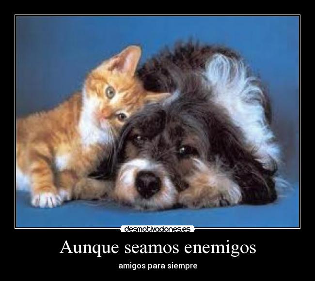 Aunque seamos enemigos - amigos para siempre