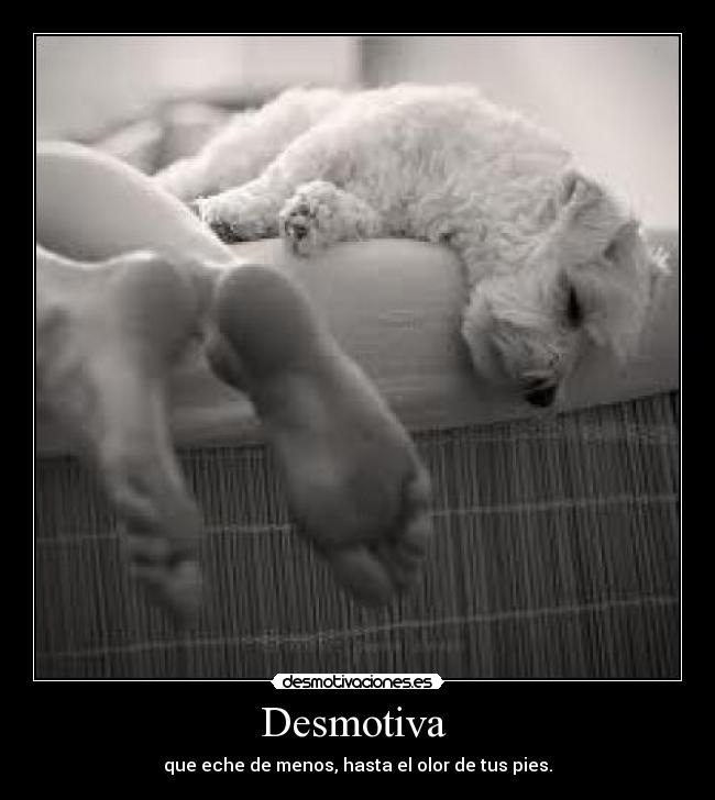 Desmotiva - que eche de menos, hasta el olor de tus pies.