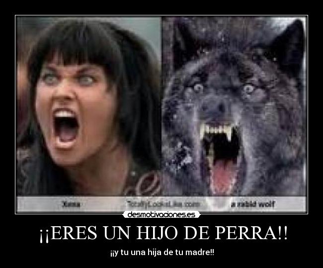 ¡¡ERES UN HIJO DE PERRA!! - ¡¡y tu una hija de tu madre!!