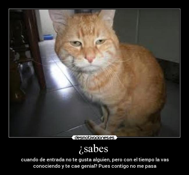 ¿sabes  - cuando de entrada no te gusta alguien, pero con el tiempo la vas
conociendo y te cae genial? Pues contigo no me pasa