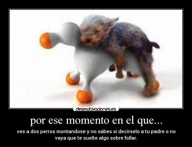 carteles lpp3 desmotivaciones