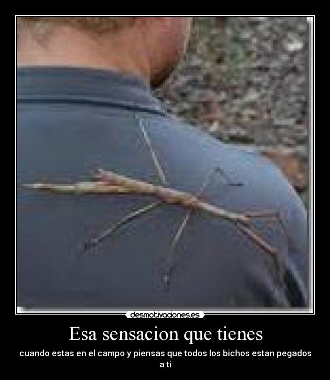 Esa sensacion que tienes -