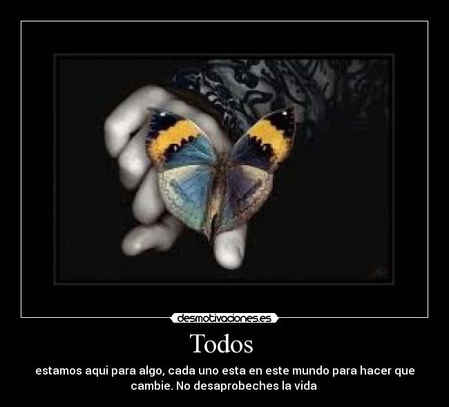 carteles todos desmotivaciones