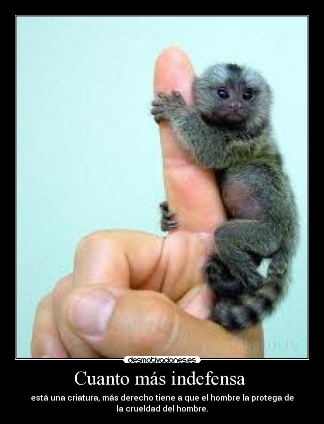 Cuanto más indefensa -