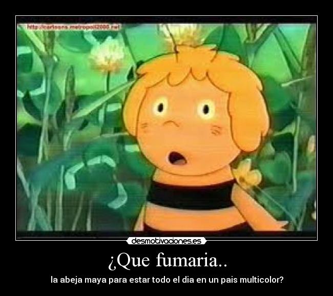 ¿Que fumaria.. - la abeja maya para estar todo el dia en un pais multicolor?