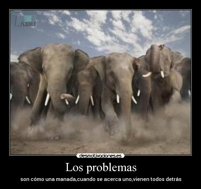 Los problemas - son cómo una manada,cuando se acerca uno,vienen todos detrás