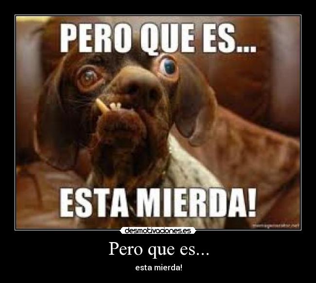 carteles wwwdesmotivacioneses desmotivaciones