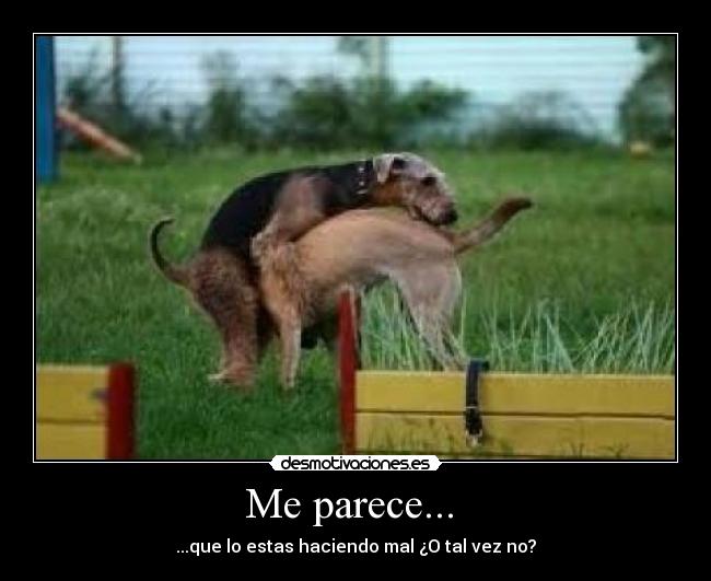 Me parece...  - 