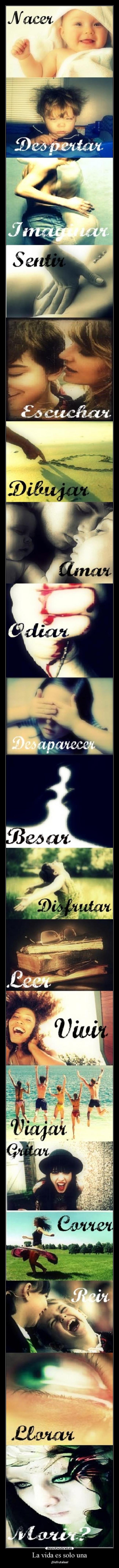 La vida es solo una - ¡Disfrutalaa!