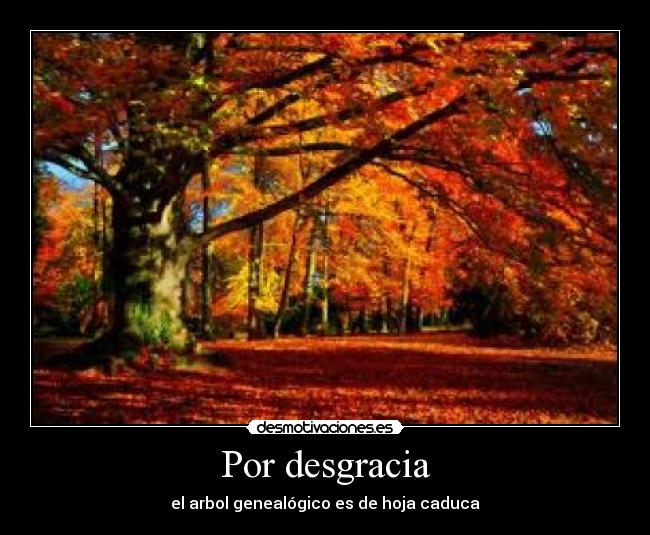 Por desgracia - el arbol genealógico es de hoja caduca