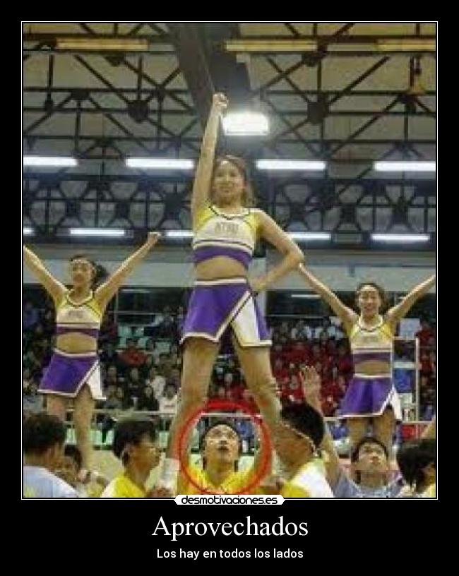 Aprovechados - Los hay en todos los lados