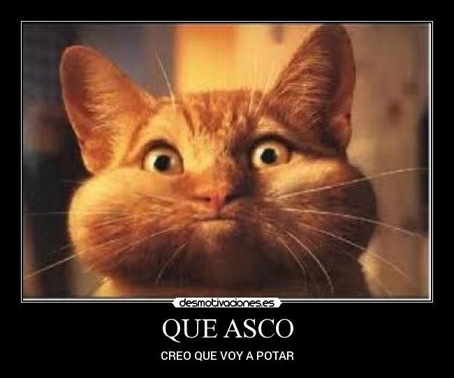 QUE ASCO - CREO QUE VOY A POTAR