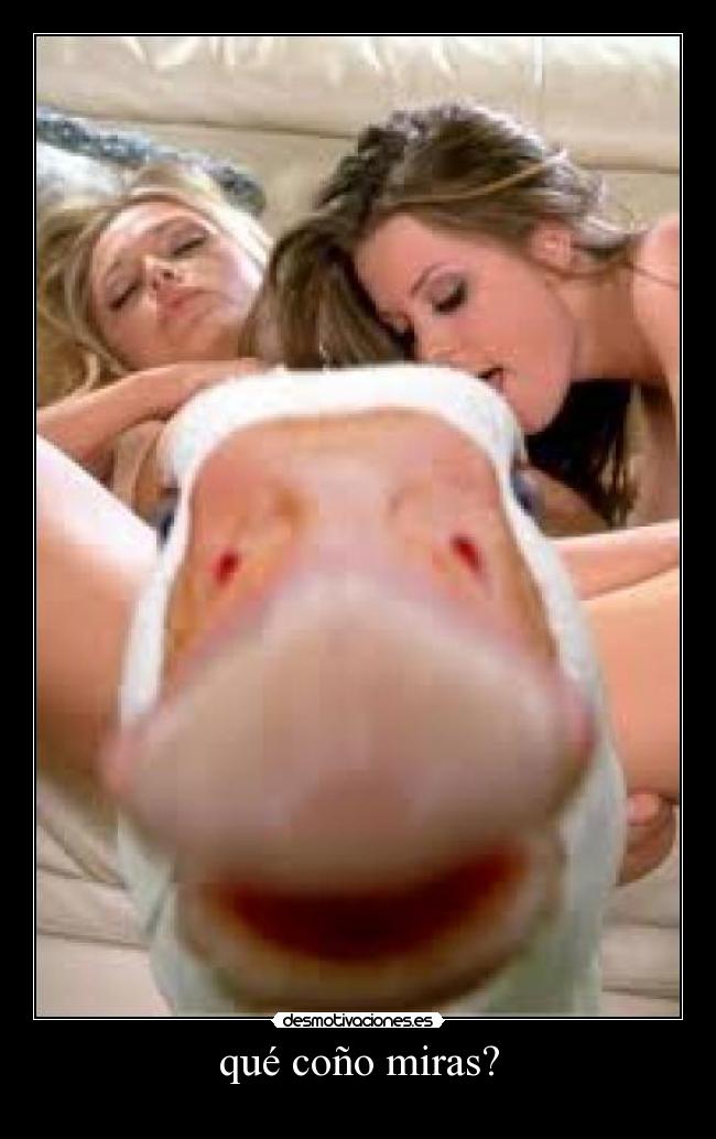 qué coño miras? - 