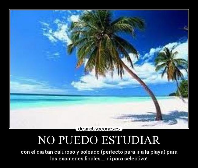 NO PUEDO ESTUDIAR - con el dia tan caluroso y soleado (perfecto para ir a la playa) para
los examenes finales.... ni para selectivo!!