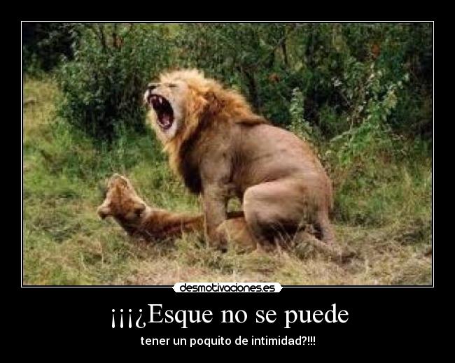 ¡¡¡¿Esque no se puede - tener un poquito de intimidad?!!!