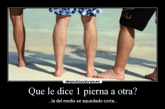 Que le dice 1 pierna a otra? -