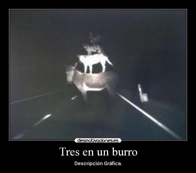 Tres en un burro - Descripción Gráfica.