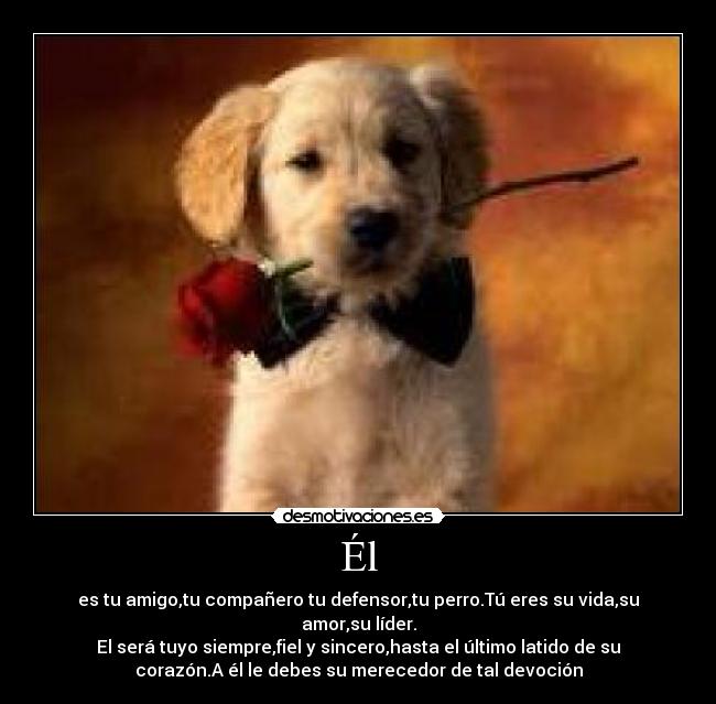 carteles gfb desmotivaciones