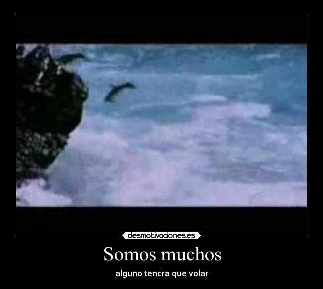 Somos muchos - alguno tendra que volar