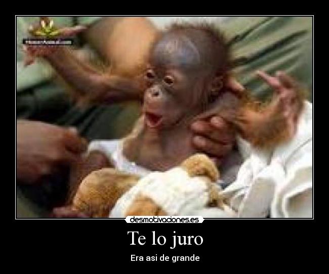 carteles ffgg desmotivaciones