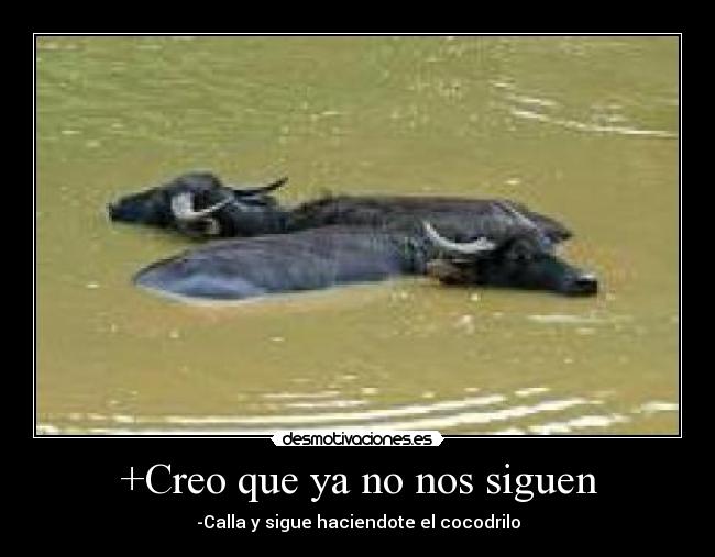 carteles xgorkax desmotivaciones