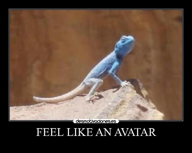 FEEL LIKE AN AVATAR - 