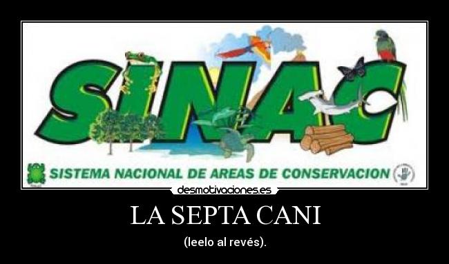 LA SEPTA CANI - (leelo al revés).