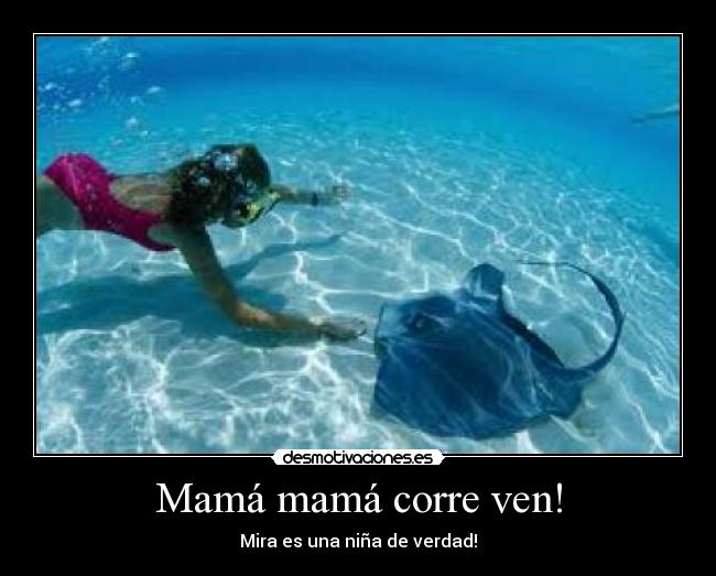 Mamá mamá corre ven! -