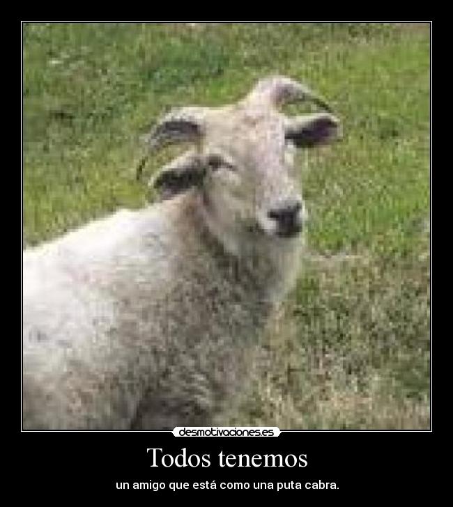 Todos tenemos - 