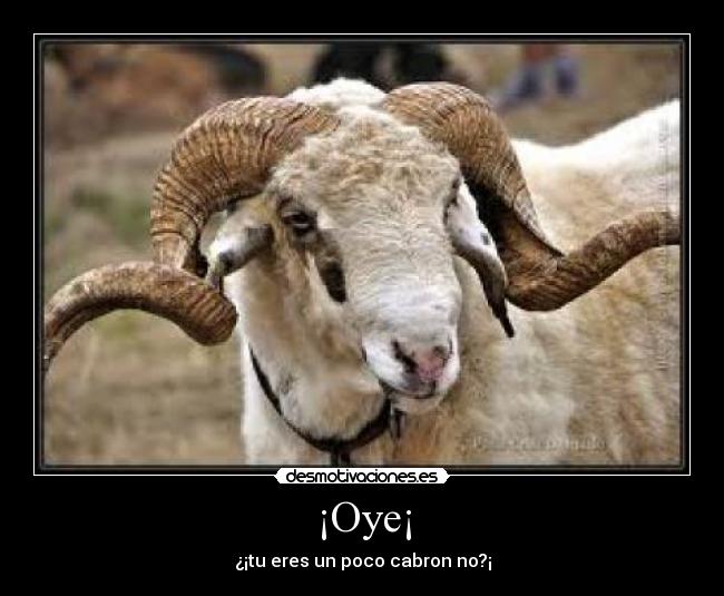 ¡Oye¡ - 