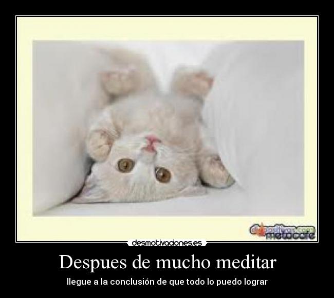 Despues de mucho meditar - llegue a la conclusión de que todo lo puedo lograr