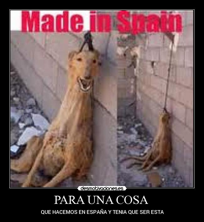 PARA UNA COSA - QUE HACEMOS EN ESPAÑA Y TENIA QUE SER ESTA