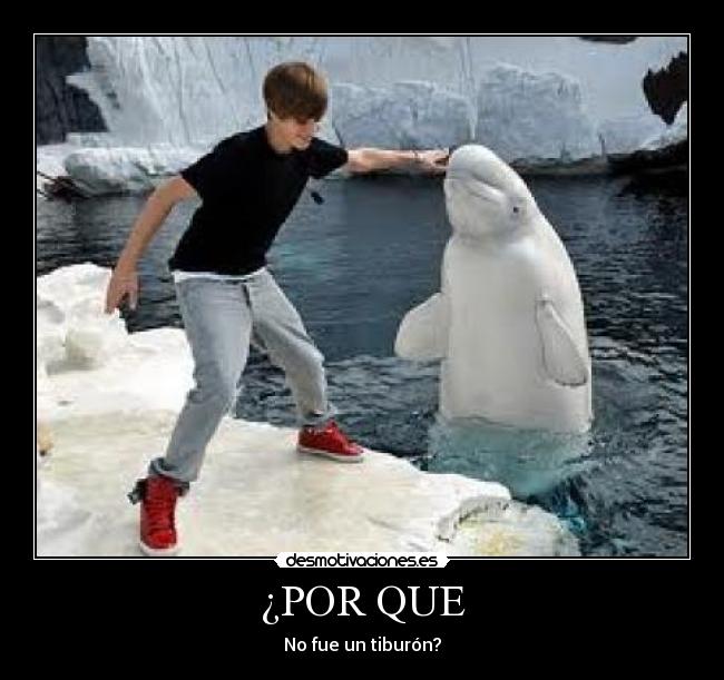 ¿POR QUE -