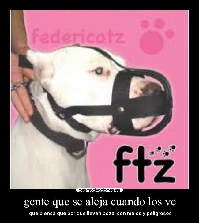 gente que se aleja cuando los ve - 