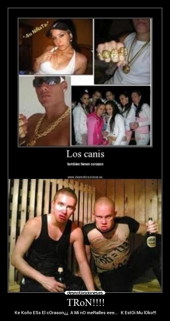 TRoN!!!! - Ke Koño ESs El cOrason¿¿ A Mi nO meRalles eee... K EstOi Mu lOko!!!