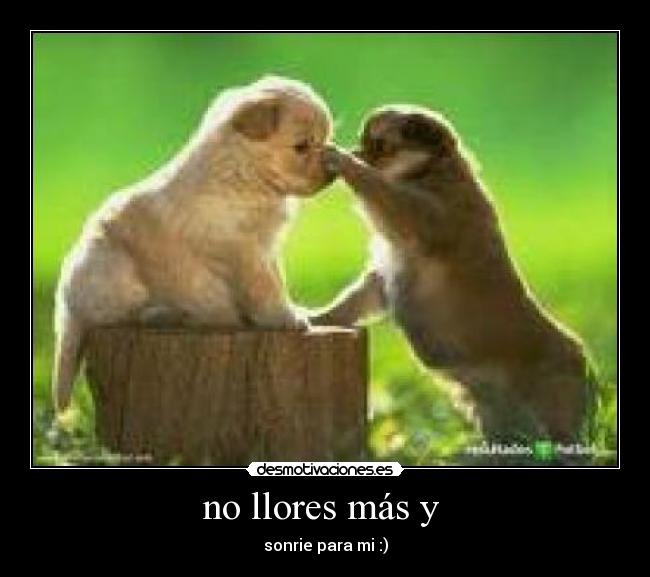 no llores más y -
