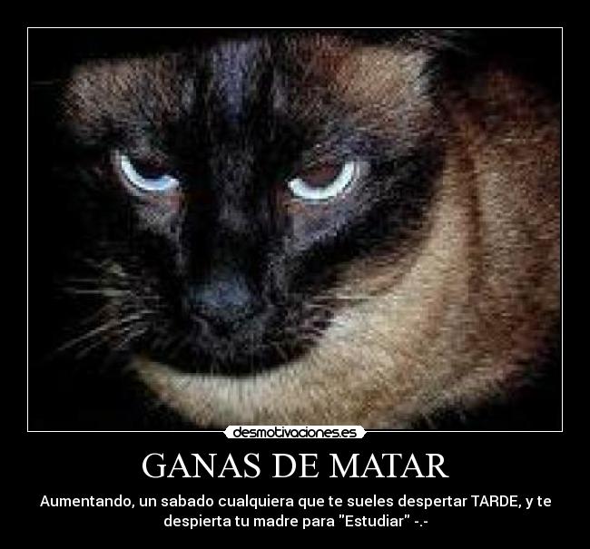 GANAS DE MATAR - Aumentando, un sabado cualquiera que te sueles despertar TARDE, y te
despierta tu madre para Estudiar -.-