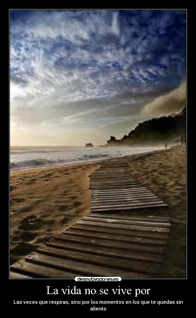 La vida no se vive por -