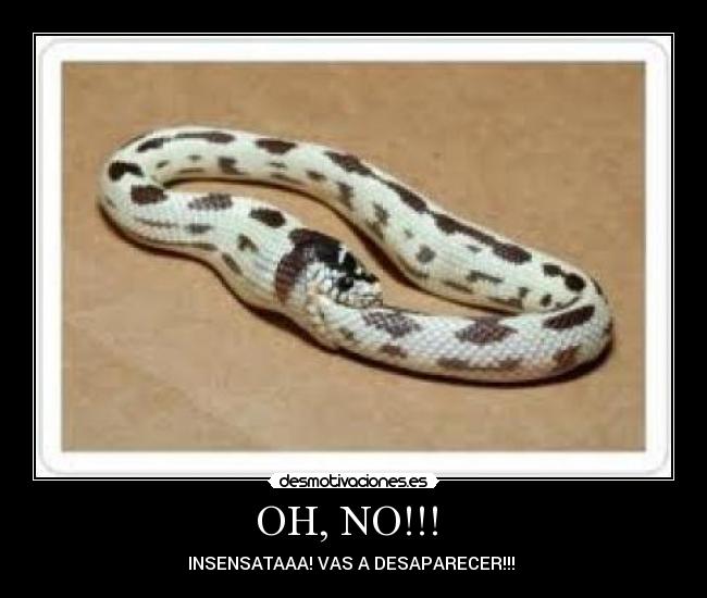 OH, NO!!!  - INSENSATAAA! VAS A DESAPARECER!!! 