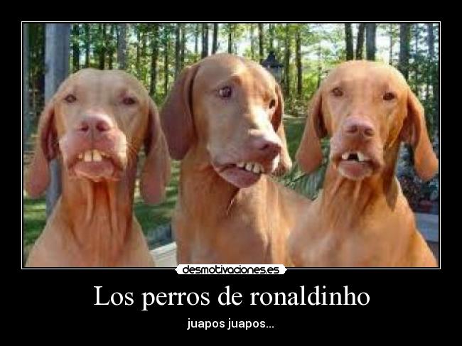 Los perros de ronaldinho - juapos juapos...