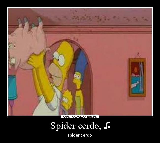 Spider cerdo, ♫ - spider cerdo ♫